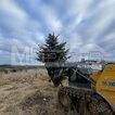 Фото: Пересадчик деревьев на мини-погрузчик - 7