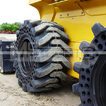 Фото: Цельнолитые колеса на мини-погрузчик - 4