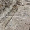 Фото: Виброкаток на мини-погрузчик - 7