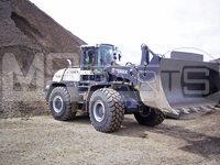Terex TL310