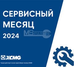 Сервисный месяц 2024